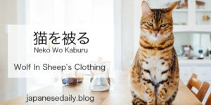 Top 5 Most Commonly Used Japanese Proverbs - Japanese Daily